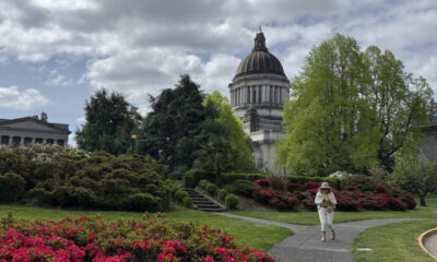 Person in white clothing and hat walks along a curved garden path toward a domed neoclassical building, with blooming bushes in the foreground.