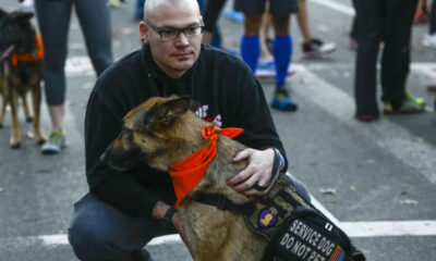 Man kneeling beside a brown service dog wearing an orange bandana and a vest that reads 'SERVICE DOG DO NOT PET' at a street event.