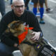 Man kneeling beside a brown service dog wearing an orange bandana and a vest that reads 'SERVICE DOG DO NOT PET' at a street event.