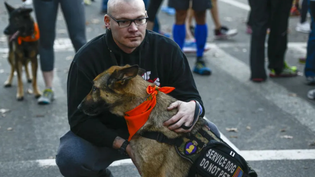 Man kneeling beside a brown service dog wearing an orange bandana and a vest that reads 'SERVICE DOG DO NOT PET' at a street event.