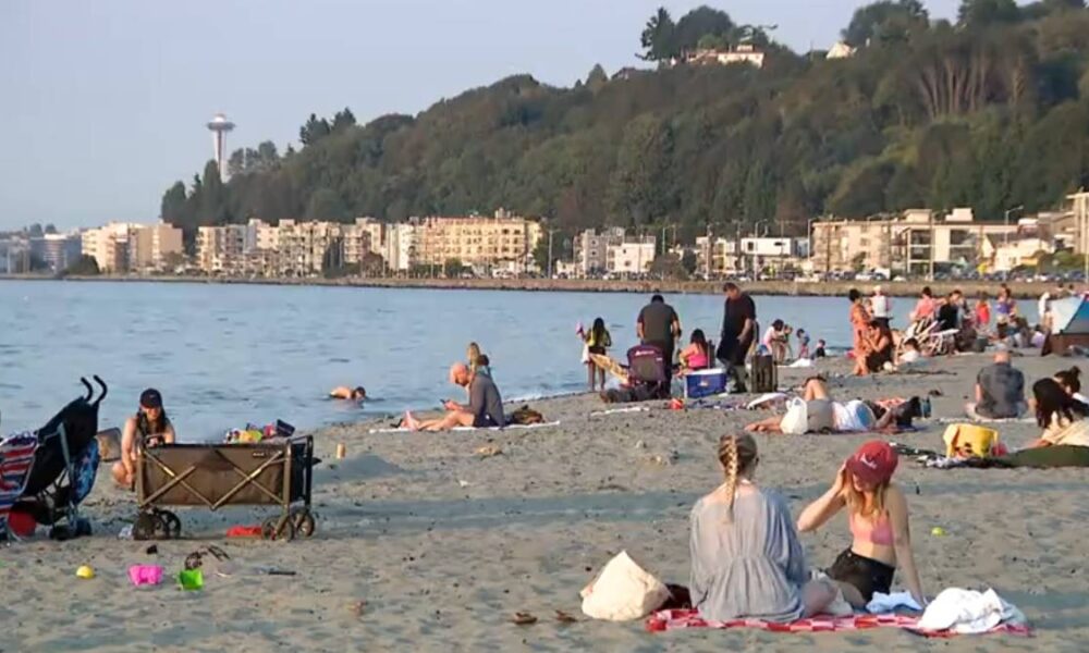 Crowded city beach along a calm bay with sunbathers, families, and swimmers; buildings and hills in the background.