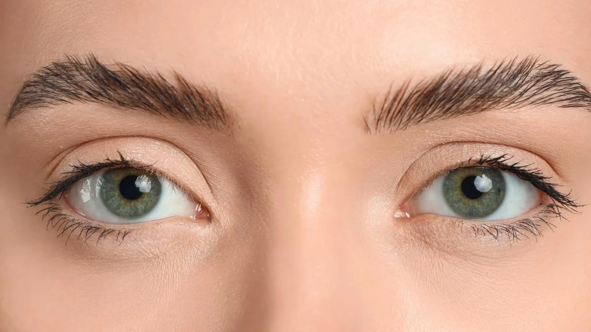 Close-up of a person's green eyes with well-groomed eyebrows and light makeup on peach-toned skin.