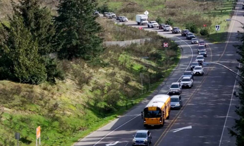 Traffic on a curved, two-lane road with a yellow school bus leading the line amid trees and green hills.”