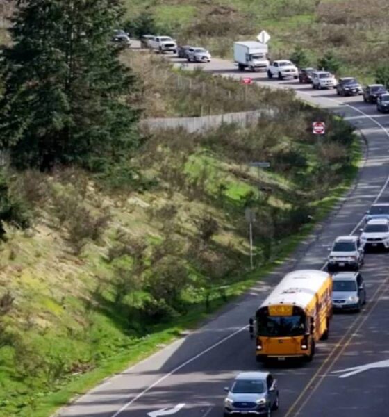 Traffic on a curved, two-lane road with a yellow school bus leading the line amid trees and green hills.”
