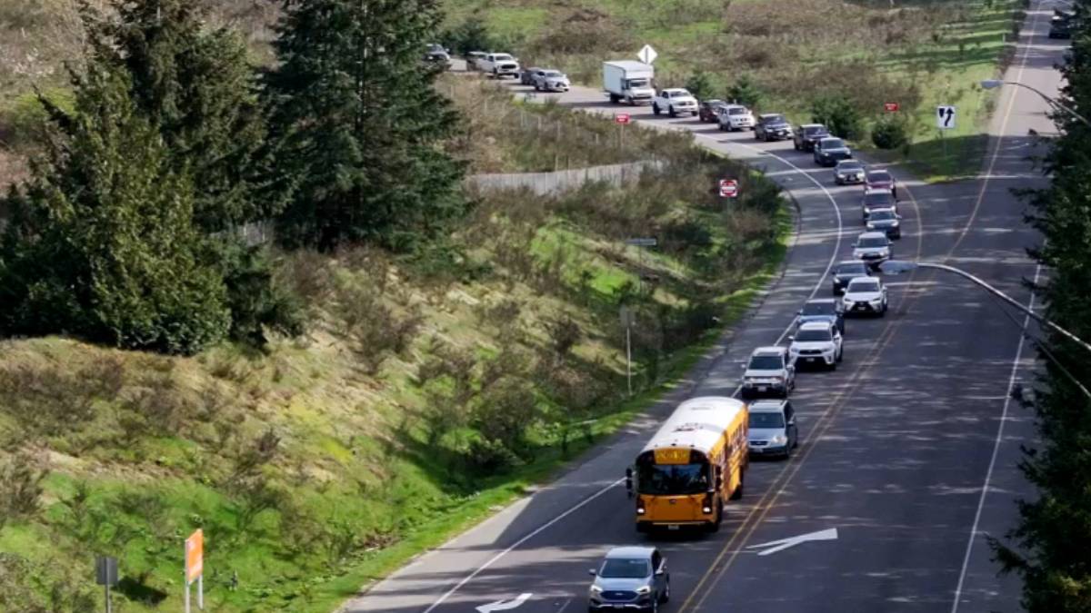 Traffic on a curved, two-lane road with a yellow school bus leading the line amid trees and green hills.”