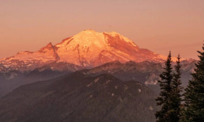 Snow-capped mountain bathed in orange sunset light above forested hills with evergreen trees in the foreground, panoramic view.