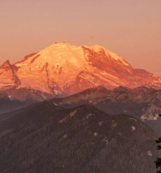 Snow-capped mountain bathed in orange sunset light above forested hills with evergreen trees in the foreground, panoramic view.