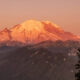 Snow-capped mountain bathed in orange sunset light above forested hills with evergreen trees in the foreground, panoramic view.