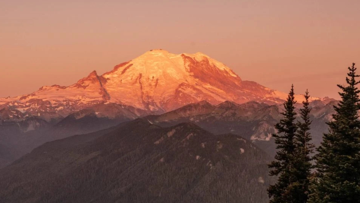 Snow-capped mountain bathed in orange sunset light above forested hills with evergreen trees in the foreground, panoramic view.
