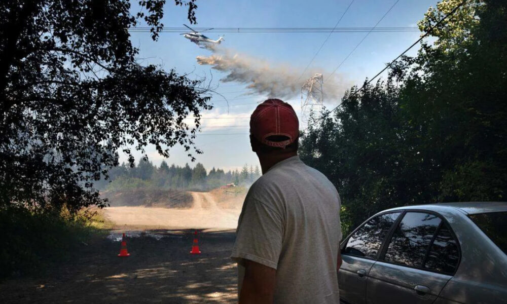 Man in a red cap stands on a dirt road watching a firefighting plane release smoke over a forest, with orange cones and a parked car nearby.
