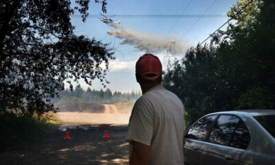 Man in a red cap stands on a dirt road watching a firefighting plane release smoke over a forest, with orange cones and a parked car nearby.