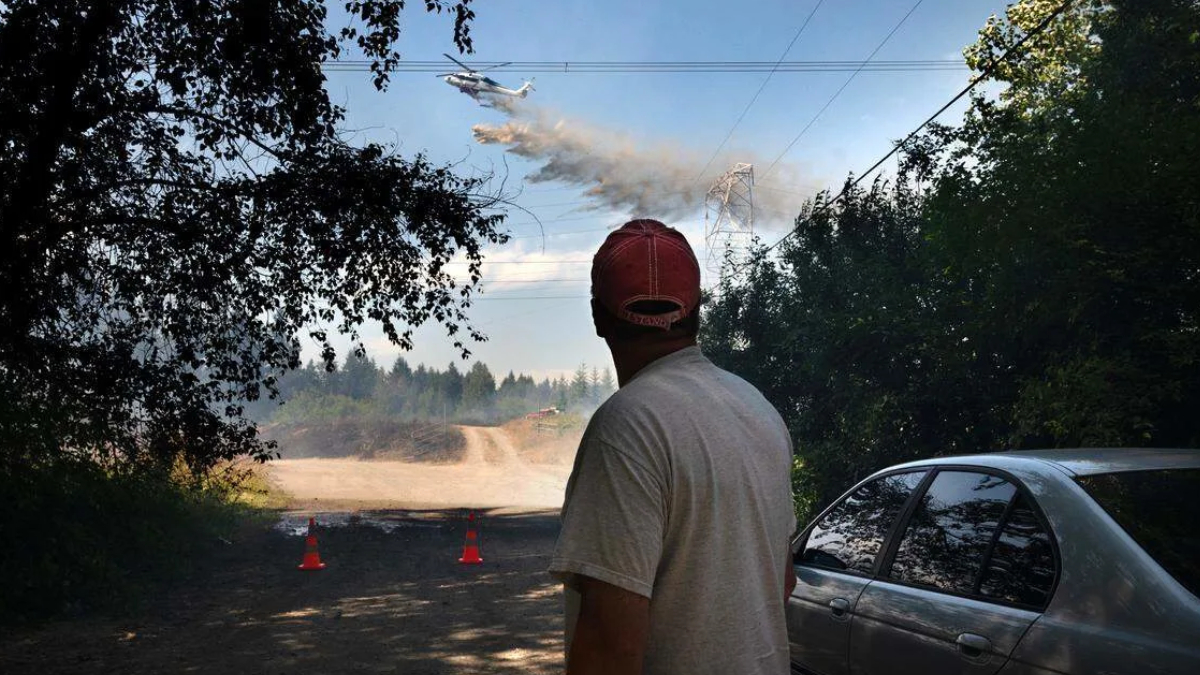 Man in a red cap stands on a dirt road watching a firefighting plane release smoke over a forest, with orange cones and a parked car nearby.