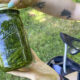 Green leafy herbs packed in a Ball wide-mouth mason jar being held outdoors on grass by a person with tattooed arms.