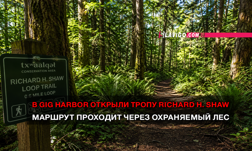 новости штата Вашингтон на slavigo.com