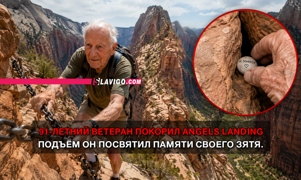 новости штата Вашингтон на slavigo.com