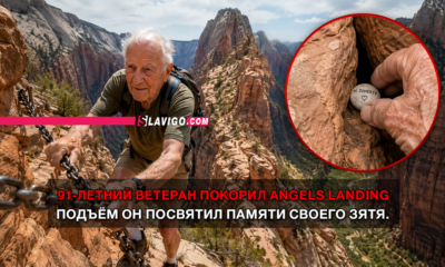 новости штата Вашингтон на slavigo.com