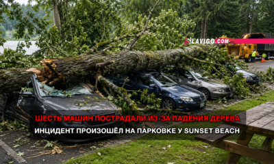 новости штата Вашингтон на slavigo.com