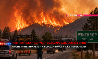 новости штата Вашингтон на slavigo.com