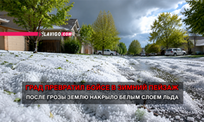 свежие новости сиетла только на slavigo.com