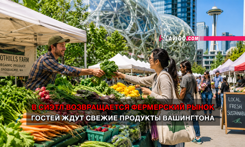читай свежие новости Сиэтла и пригорода на slavigo.com