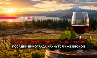 читай свежие новости Сиэтла и пригорода на slavigo.com