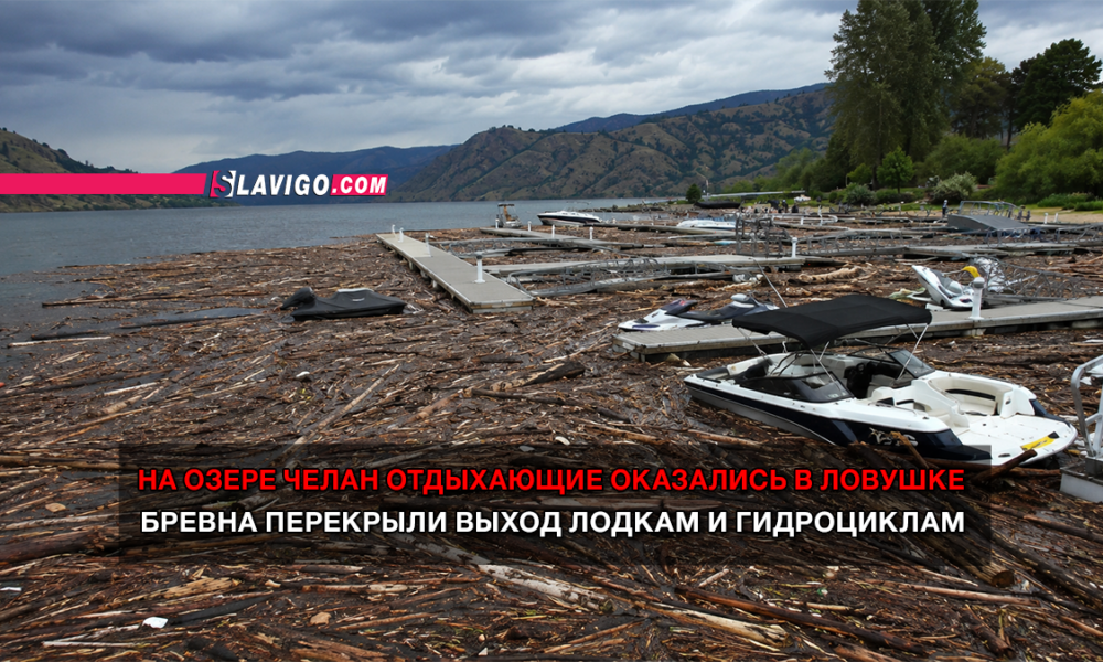 читай свежие новости Сиэтла и пригорода на slavigo.com