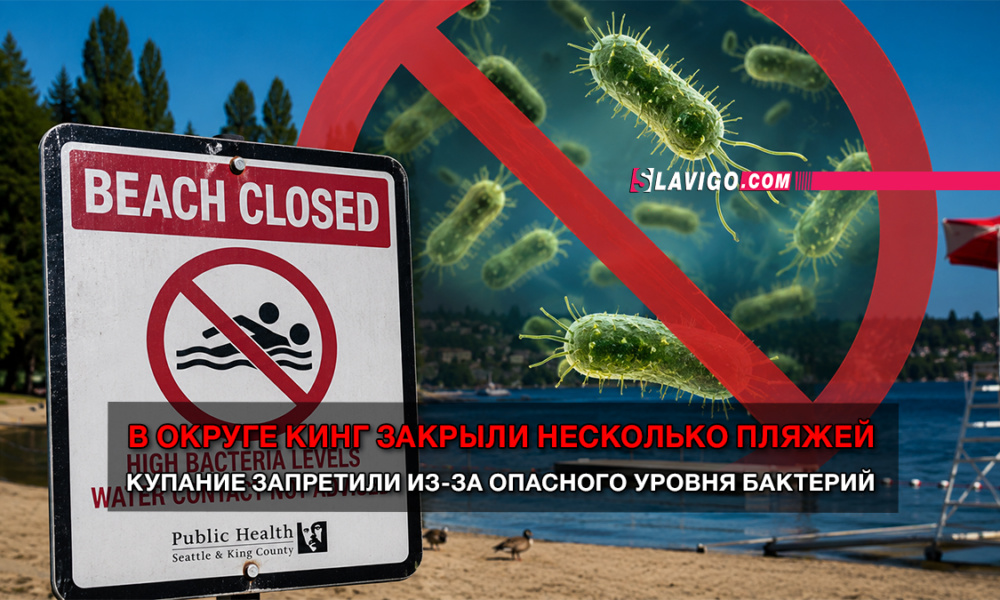 новости штата Вашингтон на slavigo.com