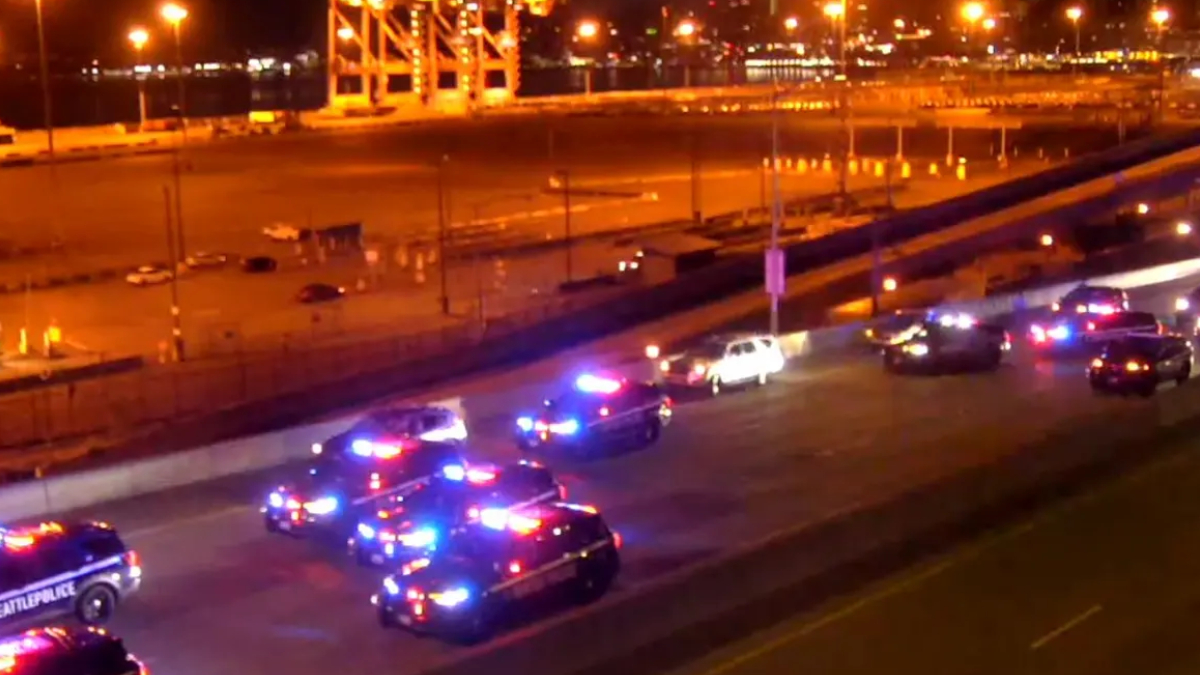 Nighttime scene with multiple police cars flashing red and blue lights on a city street near a highway.”