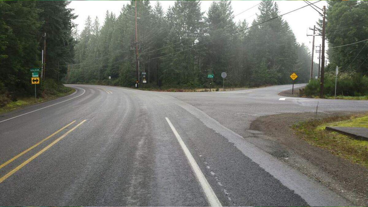 Winding rural road through a dense evergreen forest, splitting into left and right at an intersection with signs and utility poles.