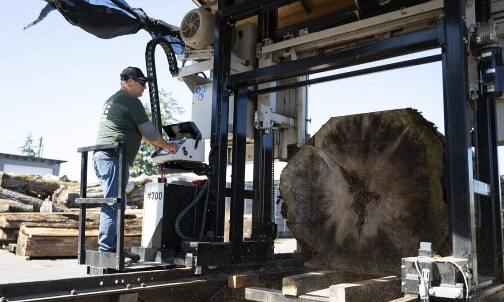 A worker on a platform operates a large log-cutting machine beside a massive tree trunk outdoors at a lumber yard.