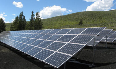 Rows of blue solar panels tilted on metal racks in a grassy field under a bright blue sky with trees nearby.