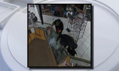 Security camera still of two masked individuals inside a store, leaning over a glass display case near the checkout area, appearing to steal items.