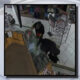 Security camera still of two masked individuals inside a store, leaning over a glass display case near the checkout area, appearing to steal items.