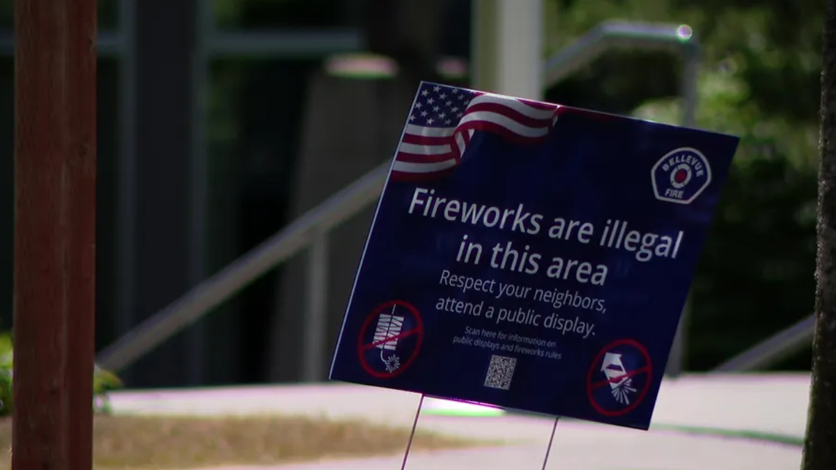 Blue sign on a lawn that reads, 'Fireworks are illegal in this area. Respect your neighbors, attend a public display,' with an American flag graphic in the corner.