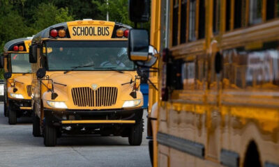 Front view of several yellow school buses lined up on a street with trees in the background, the lead bus centered in the frame.