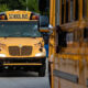 Front view of several yellow school buses lined up on a street with trees in the background, the lead bus centered in the frame.