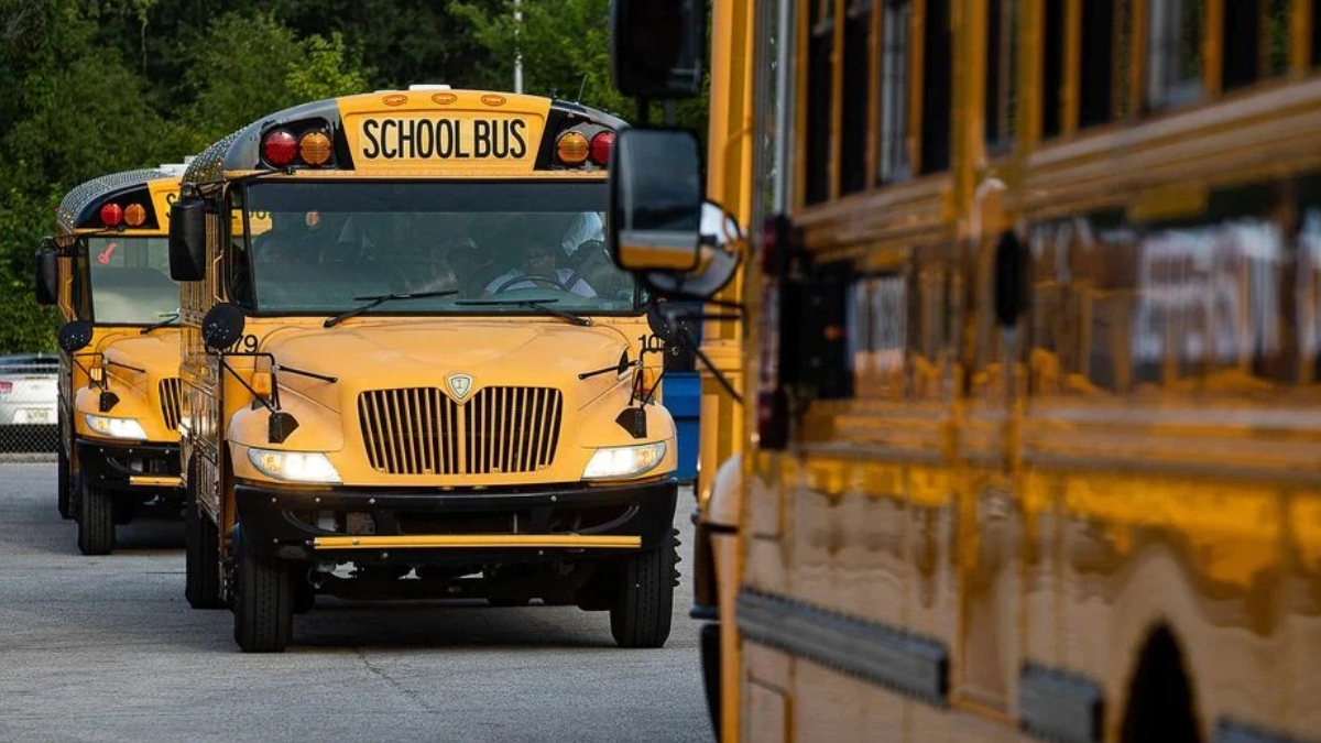 Front view of several yellow school buses lined up on a street with trees in the background, the lead bus centered in the frame.