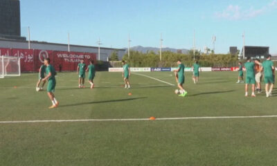 Soccer players in green jerseys practicing drills on a sunny artificial turf field with orange cones and a ball nearby.