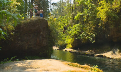 Group of people standing on a large rock above a wooded river gorge, about to jump into the water below.