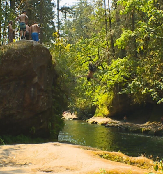 Group of people standing on a large rock above a wooded river gorge, about to jump into the water below.
