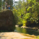 Group of people standing on a large rock above a wooded river gorge, about to jump into the water below.