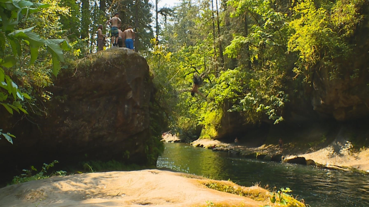 Group of people standing on a large rock above a wooded river gorge, about to jump into the water below.