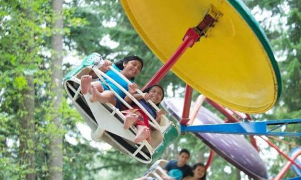 Group of people riding a circular swing ride with a large yellow disk overhead, outdoors among trees.