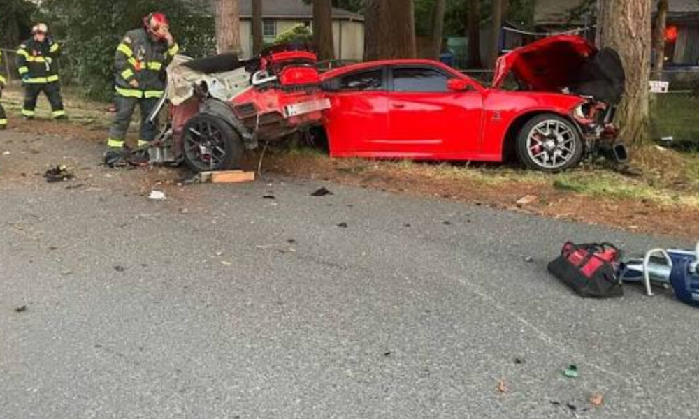 Red sports car smashed into a tree with extensive front-end damage; firefighters in turnout gear survey the crash scene.