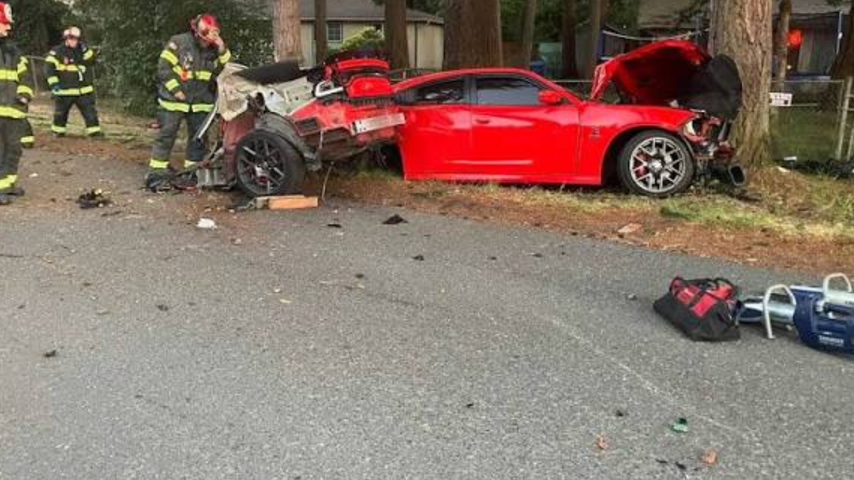 Red sports car smashed into a tree with extensive front-end damage; firefighters in turnout gear survey the crash scene.