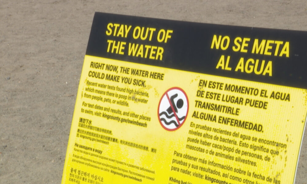 Bright yellow warning sign on a sandy beach with 'Stay Out of the Water' and Spanish translation, featuring a no-swimming symbol.