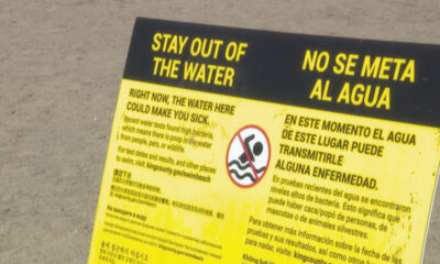 Bright yellow warning sign on a sandy beach with 'Stay Out of the Water' and Spanish translation, featuring a no-swimming symbol.