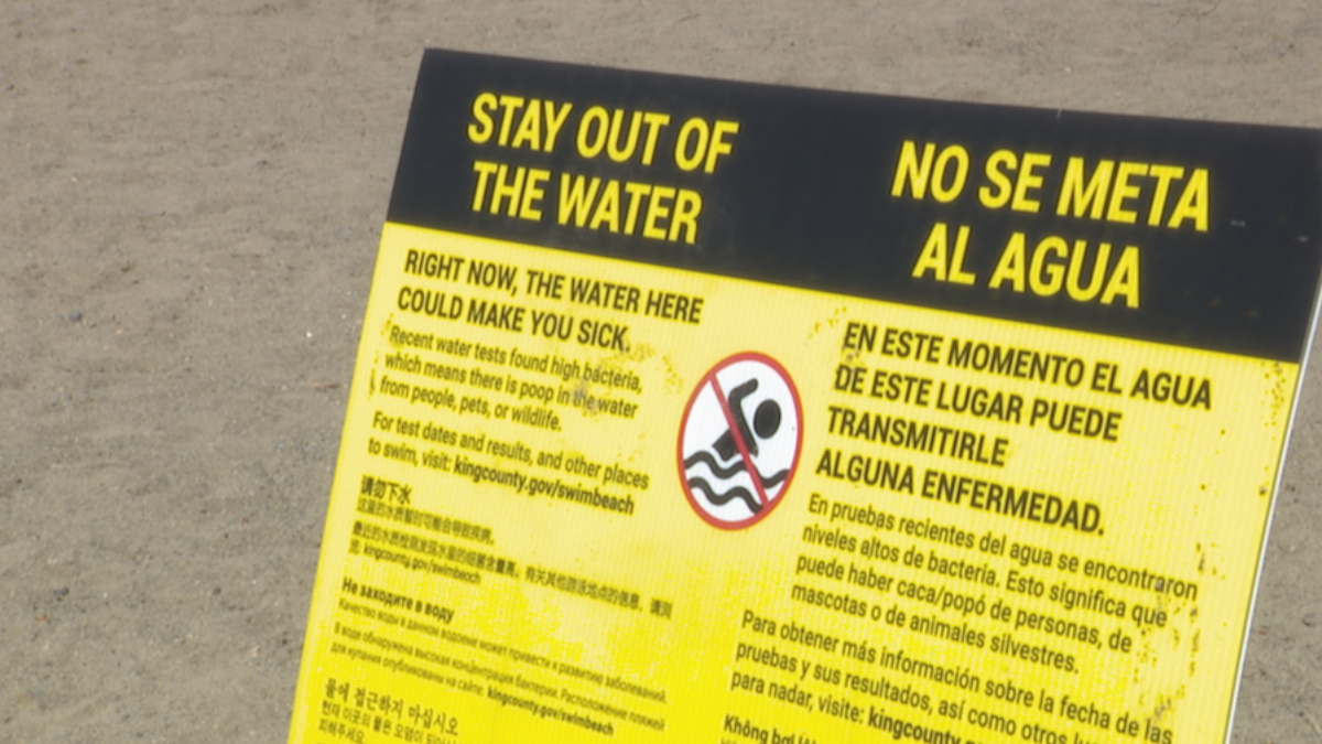 Bright yellow warning sign on a sandy beach with 'Stay Out of the Water' and Spanish translation, featuring a no-swimming symbol.
