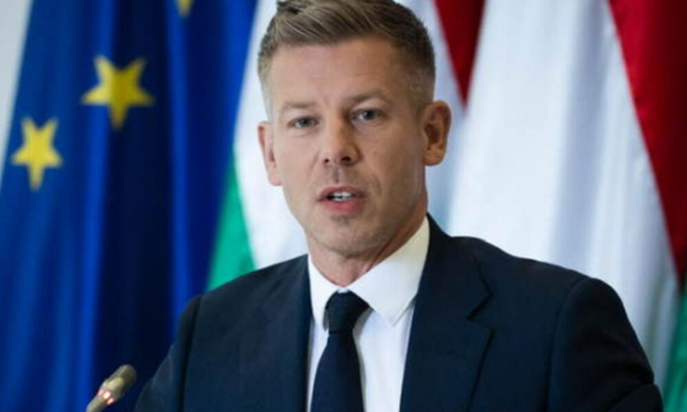 Man in a dark suit and tie speaks at a podium, with a European flag and other flags behind him.