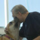 Man in a dark shirt leans to kiss a large tan dog with a pink collar in a bright room by a window.